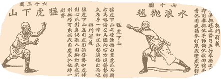 An excerpt from the book of Lam Sai Wing "The TIGER and the CRANE".