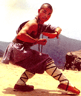 Secrets of Southern Shaolin Kung Fu