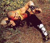 Southern Shaolin Kung Fu - Tiger Style